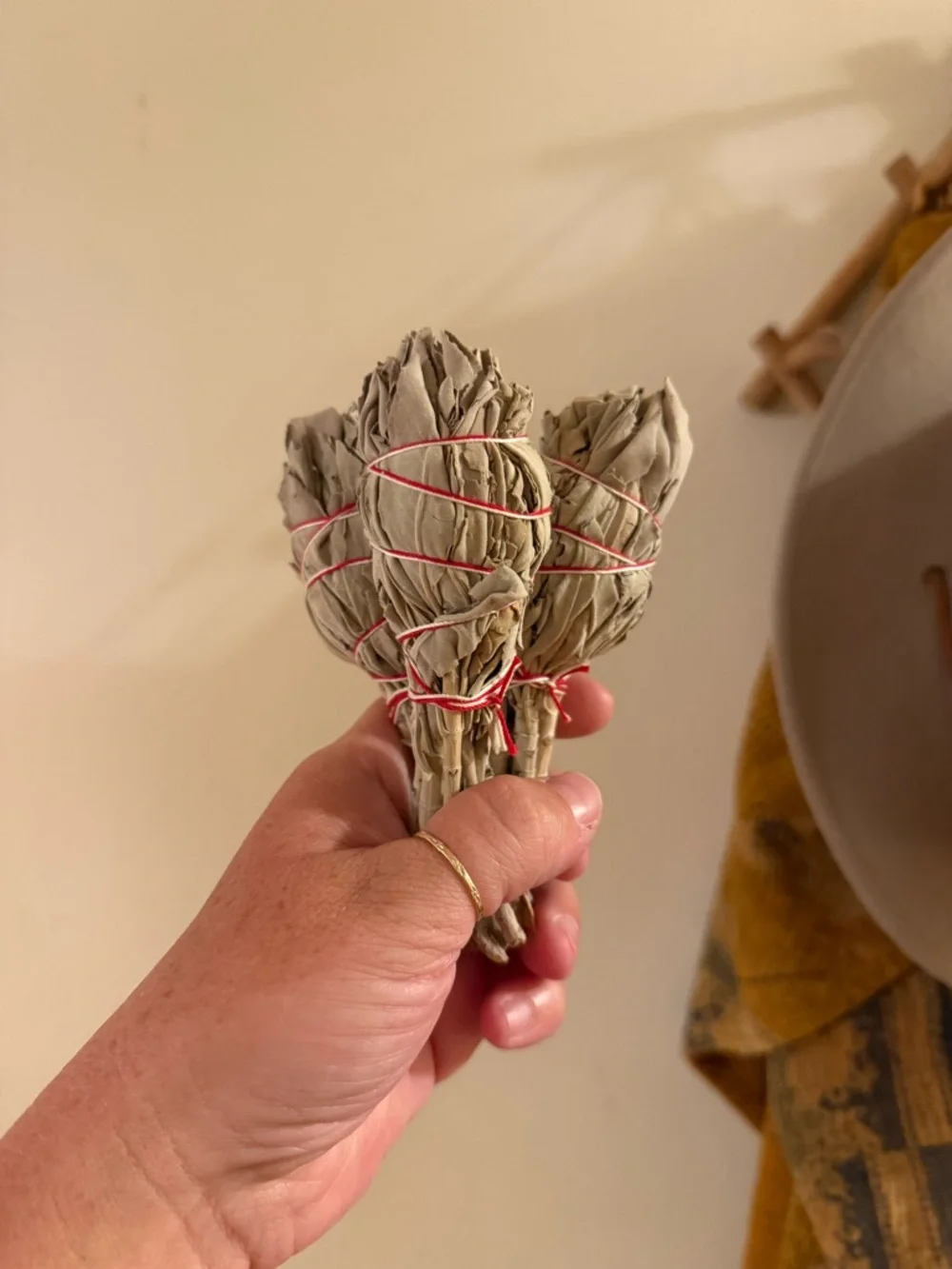 Sage bundle - Picture 3 of 3